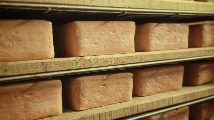 Un maroilles de l'Aisne élu meilleur fromage du monde 2024