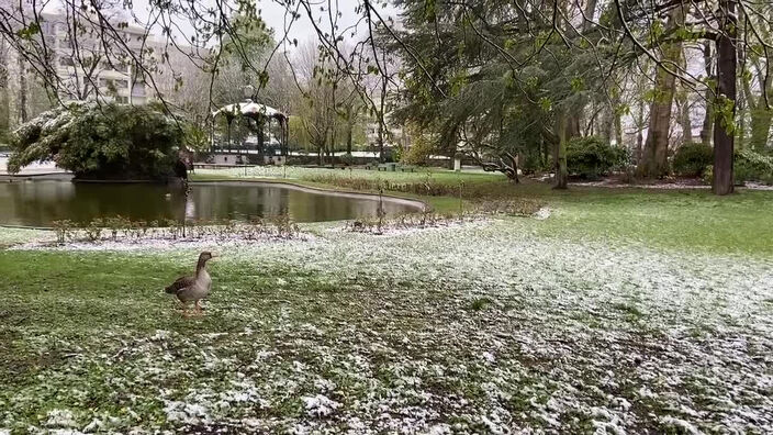 Béthune : la neige fait son étonnant retour ce vendredi matin