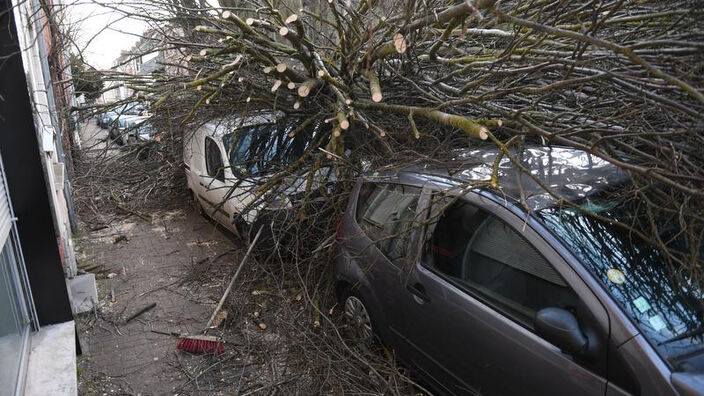 Tempête Eunice : Retour sur une journée en alerte orange dans les Hauts-de-France