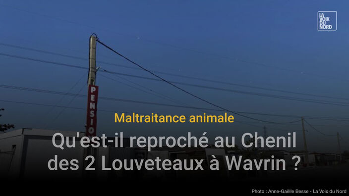 Maltraitance animale: ces faits glaçants reprochés au chenil Les 2 Louveteaux à Wavrin