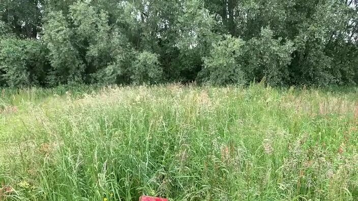 Calaisis : les maraîchers dans la détresse trois mois après Eunice