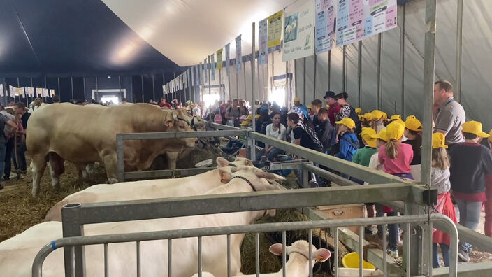 Pas-de-Calais: Terres en fête, le plus grand salon de l'agriculture de la région près d'Arras