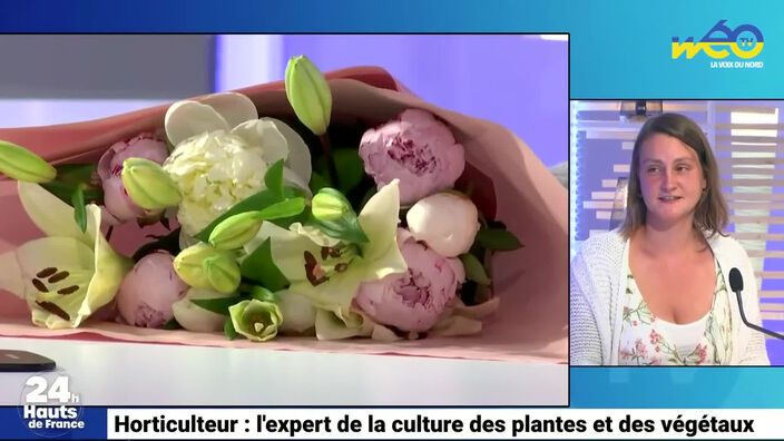 Horticulteur : l’expert de la culture des plantes et des végétaux