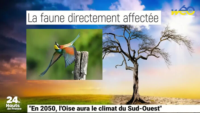 En 2050, l’Oise aura le climat du Sud-Ouest