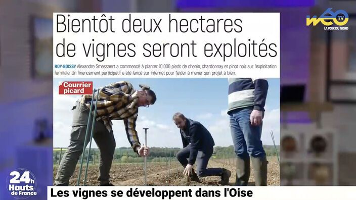 Les vignes se développent dans l’Oise