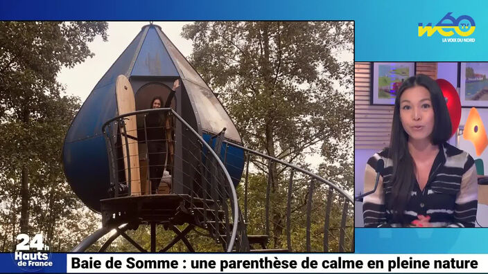 Baie de Somme : une parenthèse de calme en pleine nature