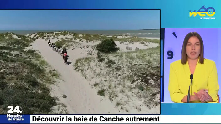 Découvrir la baie de Canche autrement