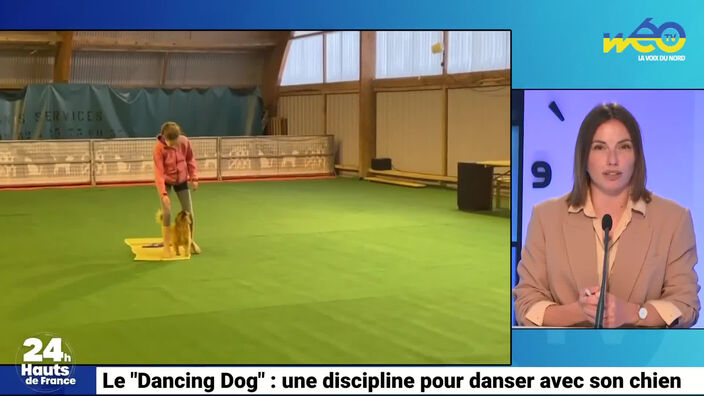 Voulez-vous danser avec votre chien ?