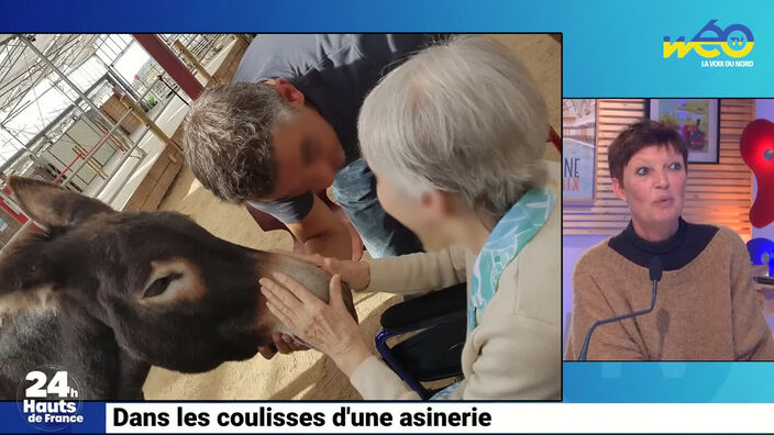 Du bonheur avec des ânes !