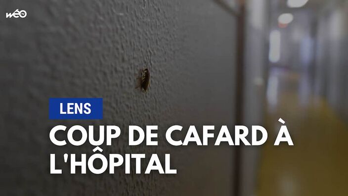 D'où viennent ces cafards à l'hôpital de Lens ?