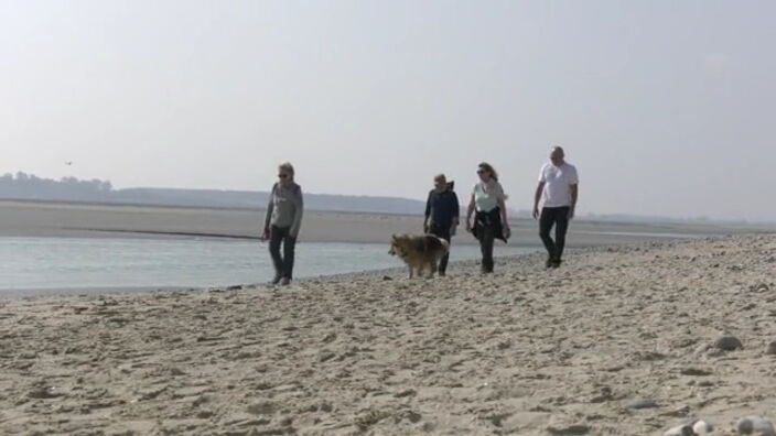 On profite du soleil en Baie de Somme