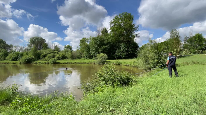 Disparition à Ailly-sur-Noye : les recherches sont toujours en cours