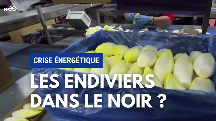 Crise énergétique : les endiviers dans le noir ?