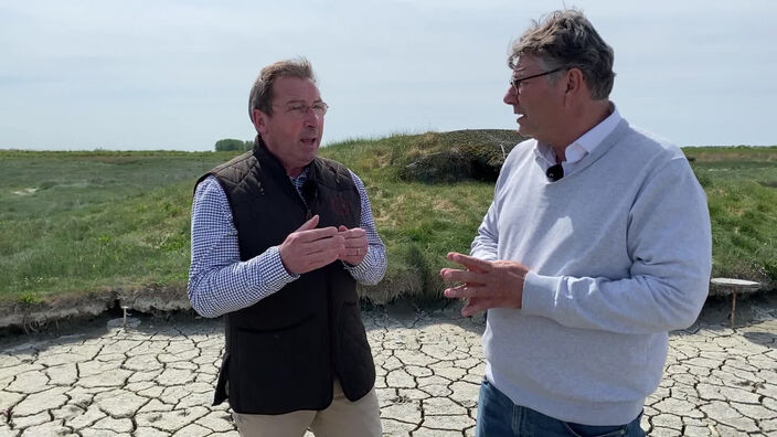 A la découverte des oiseaux de la Baie de Somme