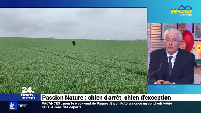 Passion Nature : chien d'arrêt, chien d'exception