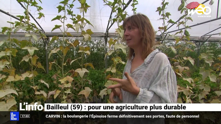 L'actu dans les Hauts-de-France du jeudi 18 août 2022