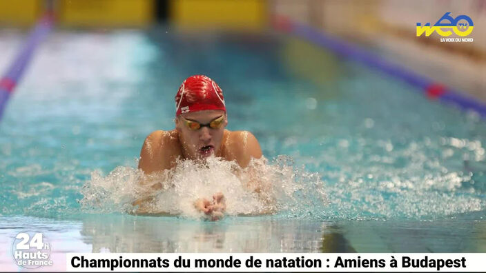 Championnats du monde de natation : Amiens à Budapest