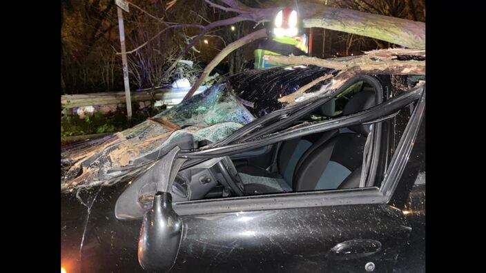 Lille: un jeune homme miraculé après la chute d’un arbre sur sa voiture