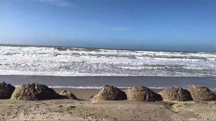 De Fort-Mahon-Plage à Mers-Les-Bains : ça commence à souffler sur le littoral picard