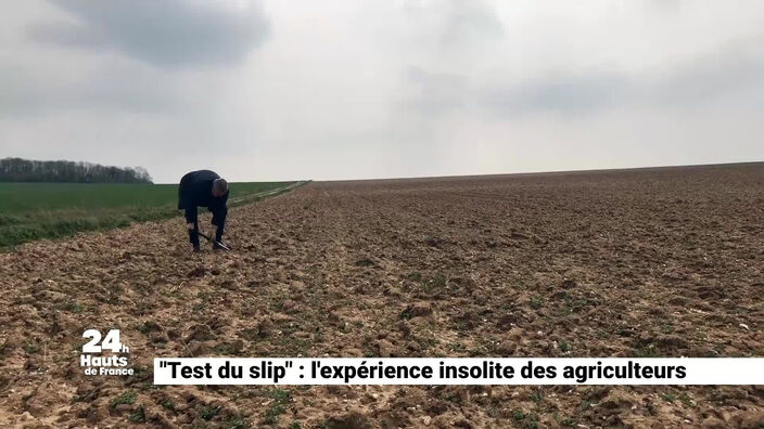 « Test du slip » : l’expérience insolite des agriculteurs