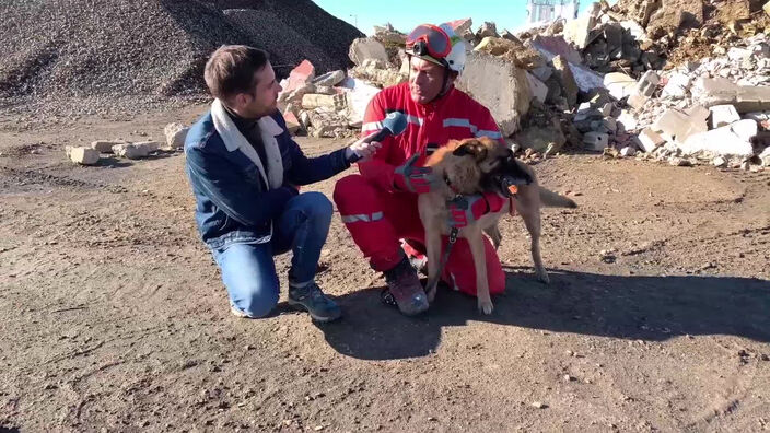 Les chiens, coéquipiers de choc pour les pompiers !