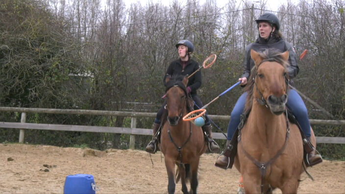 Polocrosse : Découverte d'une discipline encore méconnue