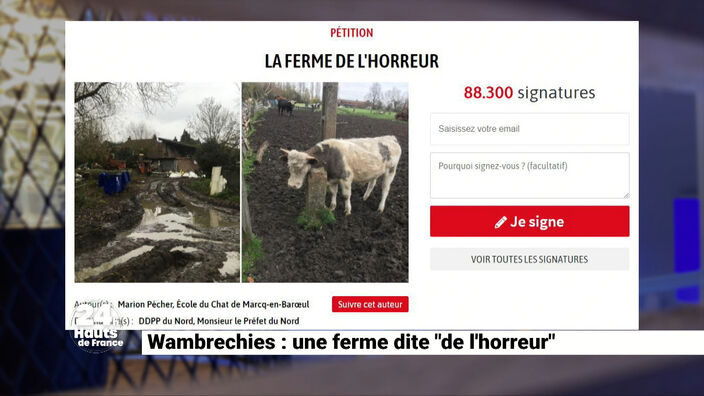 Wambrechies : la « ferme de l’horreur » est visée pour des actes de cruauté