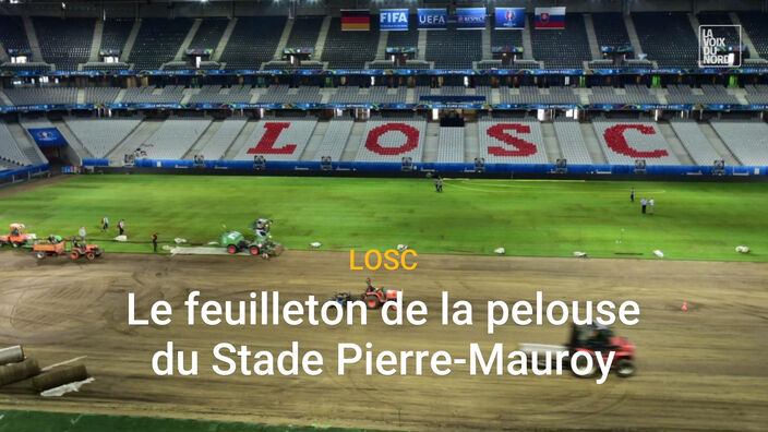 La pelouse du stade Pierre Mauroy va être changée