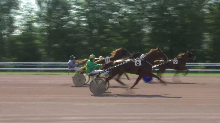 Qualification des poulains à l'Hippodrome d'Amiens