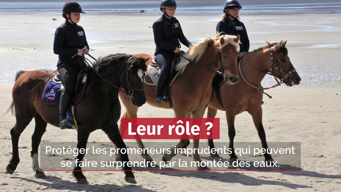 Le Crotoy : la surveillance de la plage à cheval a débuté