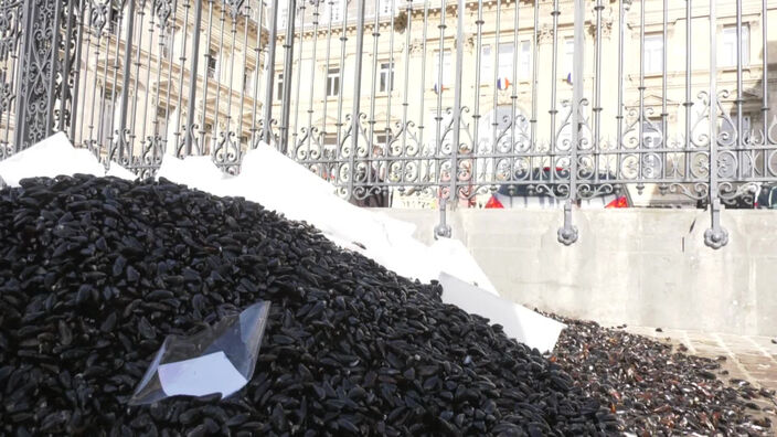 Deux tonnes de moules invendues déversées devant la préfecture