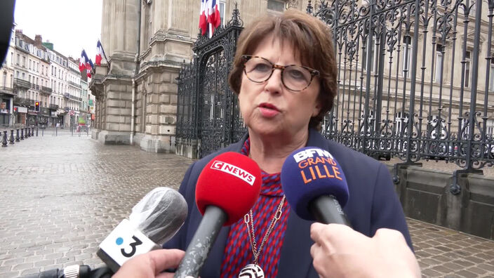 Réaction Martine Aubry annulation braderie Lille