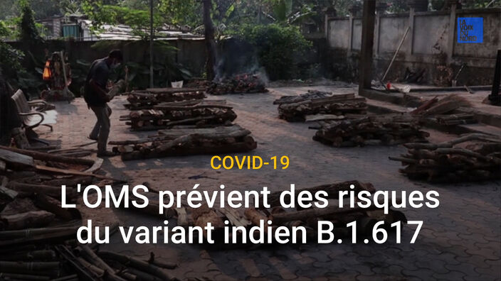 Covid-19 : L'OMS prévient des risques du variant indien B.1.617