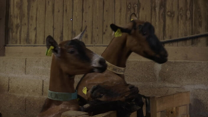 Le Plessier sur Bulles : "Bienvenue à la Ferme" la BarBi'quette