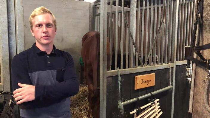 Comines : ils lancent une cagnotte pour sauver la vie de leur cheval