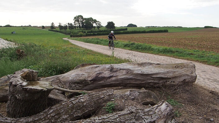 Cyclisme : Les secteurs du Paris Roubaix dans le Cambrésis