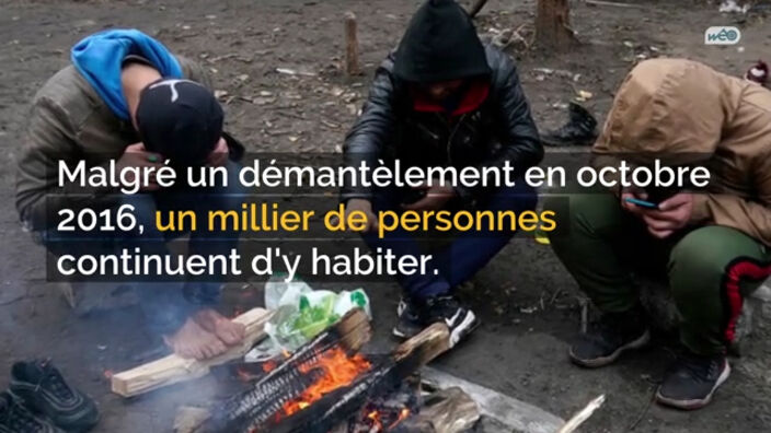 Migrants de Calais : l'ONG Human Rights Watch (HRW) dénonce les pratiques de la police