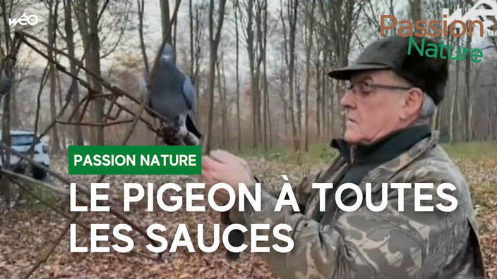 Passion Nature : rendez-vous ce week-end sur Wéo !