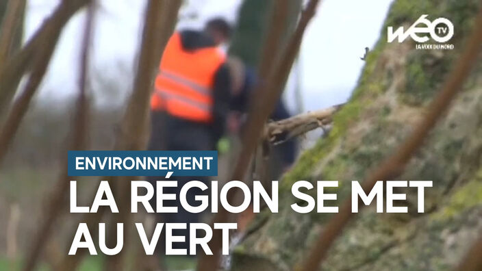 "Les planteurs volontaires" reboisent les Hauts-de-France