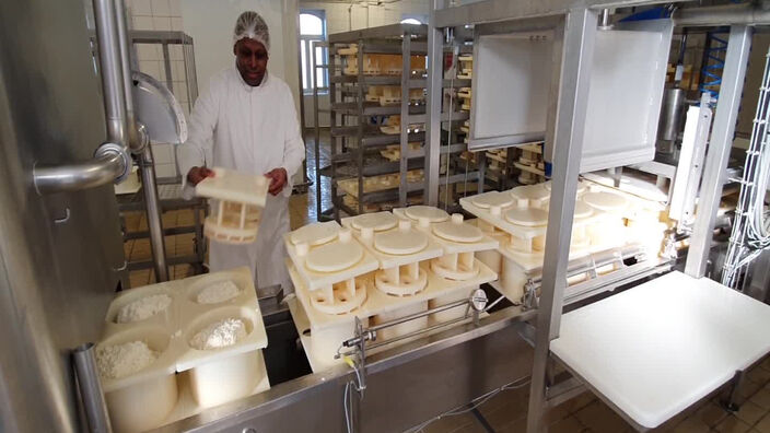 Godewaersvelde: au coeur de la fromagerie de l'abbaye.