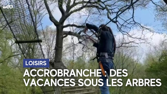 Accrobranche : rencontre avec ces accros des arbres