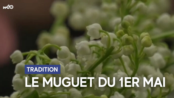 Tradition : le muguet du 1er mai