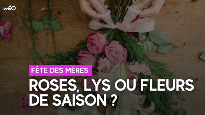 Quelles fleurs pour la fête des mères ? 