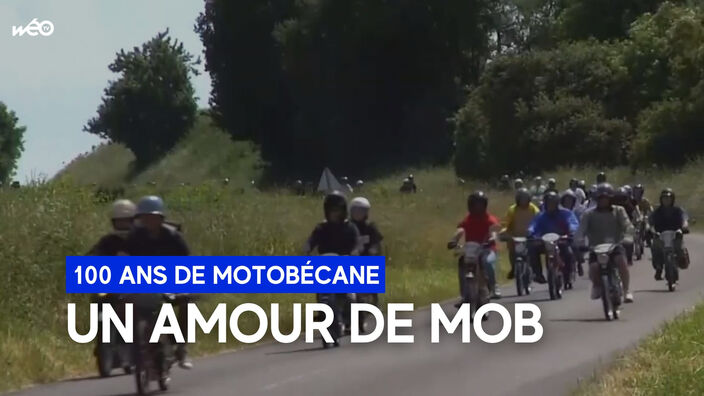 Mob un jour, mob toujours