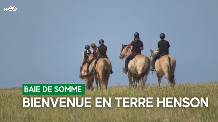 La baie de Somme, berceau du Henson