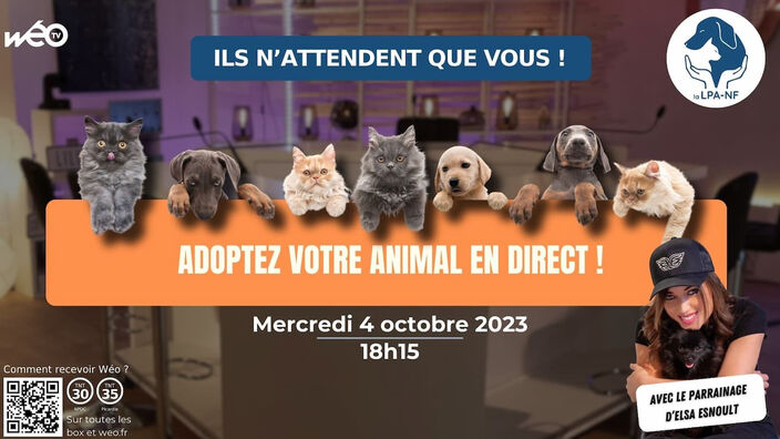 Evènement : Adoptez votre animal en direct avec la LPA !