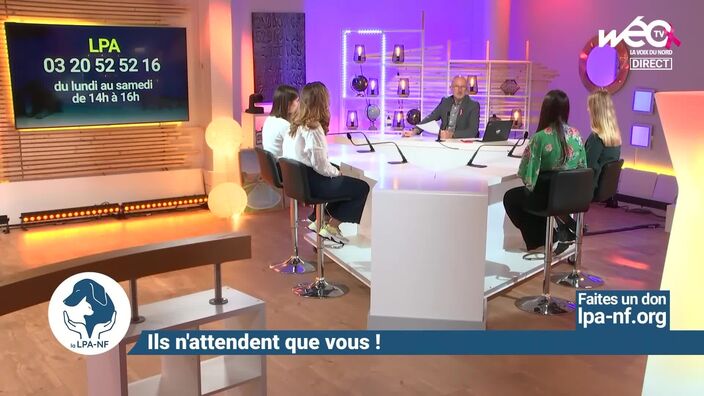 Pénélope adopte un chien en direct !