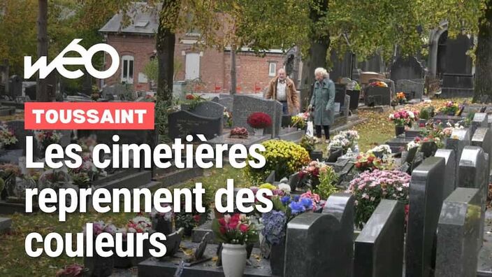 Toussaint : quand les cimetières reprennent des couleurs