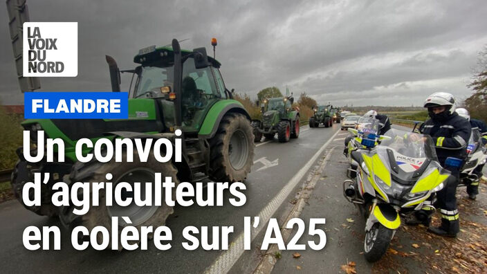 Des agriculteurs en colère en tracteur sur l’A25