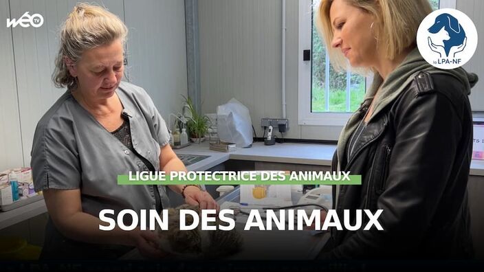 La LPA-NF prend soin des animaux accueillis !